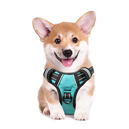 HEELE Dog Harness Medium No Pull Dog Vest Harness with Handle Reflective Pet Harness for Outdoor Training Walking Turquoise, M