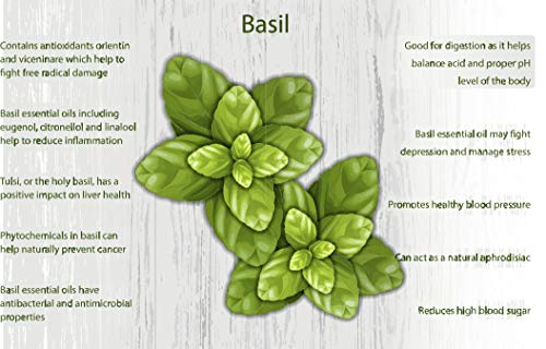 Bulkeez | Organic Dried Basil | Certified Organic | Non GMO | Naturally Dried | 8oz
