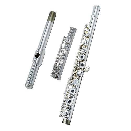 t[g 17 J C `[R⃁bLX^[OVo[t[gwbhSҌ t[gy