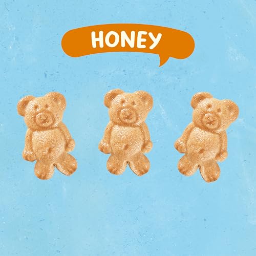 Teddy Grahams Honey Graham Snacks, 48 Total Snack Packs (4 Boxes)