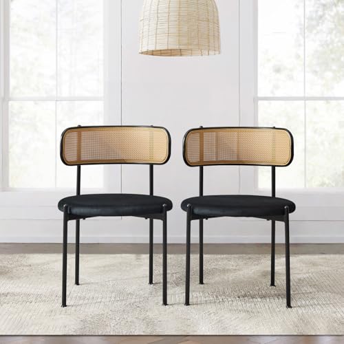 Puntogen Rattan Dining Chairs