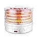 Flexzion Dehydrator for Food Fruit - Electric Food Saver Fruit Dehydrator Preserver Dry Fruit Dehydration Machine with 5 Stackable Tray
