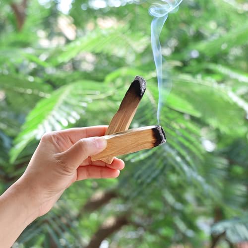 Image of AROMATIKA Palo Santo Wood Sticks 4 inch Long (100g) - Set of Approx 12 for Purifying, Cleansing, Meditating, and Stress Relief - Natural, Sustainable, and Wild Harvested