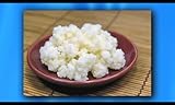 Kefir Grains - Living Probiotic Enriched 'As seen on TV'