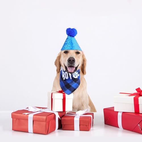 Sombrero y bandana azul para perro cumpleaños miniatura 7