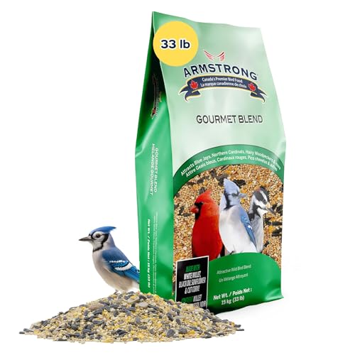 Armstrong Bird Food Gourmet Blend, 33 Pounds - with White & Red Millet, Cut Corn, Wheat, Black Oil Sunflower, Striped Sunflower, Peanuts & Safflower for Blue Jays and Northern Cardinals