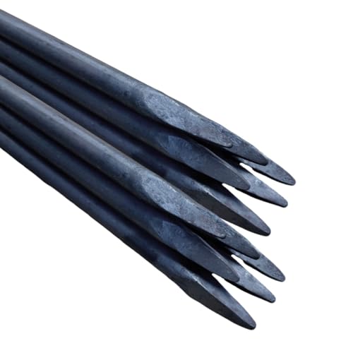 Ferropro 10 Stück Schnureisen 80CM Ø16mm aus Baustahl – Robuster Schnurnagel mit geschmiedeter Spitze, ideal für Baustellen, Gartenbau, Pflasterarbeiten, Schnurgerüste, Schalungsstütze