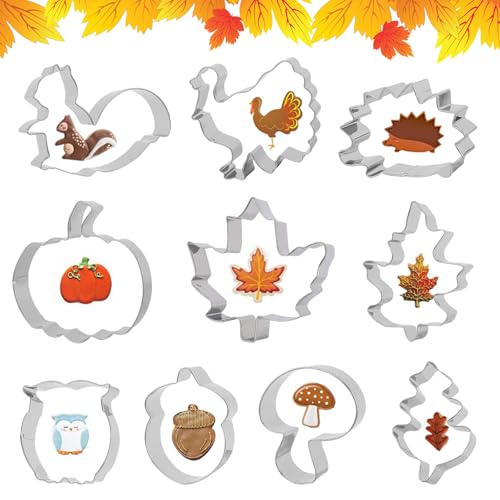 Formine per biscotti autunnali, 10 pezzi per il giorno del Ringraziamento, formine fai da te, formine per biscotti a forma di zucca, autunno con foglia d'acero, foglie riccio per biscotti