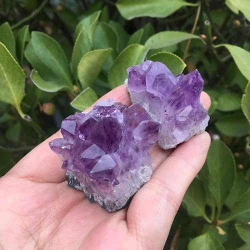 Amethyst Quartz Crystal Cluster Remueve el Estrés Visual de su Oficina 6