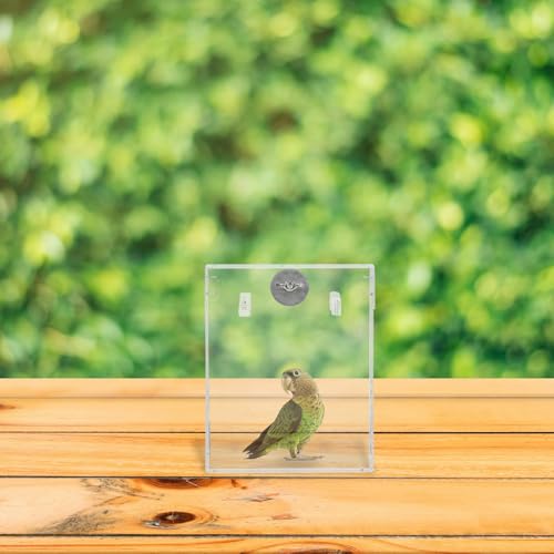 Bañera de pájaros para jaula accesorio loros y periquitos 7