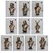 Luxury Animal Bust Statue Set – Lion, Eagle, Gorilla, Fox, Wolf & Deer Figurines – Vintage Gold Finish Sculptures for Home Office Bookshelf Desk Decor (6, Large 8'' 20cm)