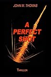 how to get perfect shot xenoverse 2  A perfect shot