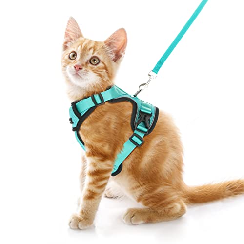 CatRomance Katzengeschirr, ausbruchsicher, atmungsaktives Netz Cover