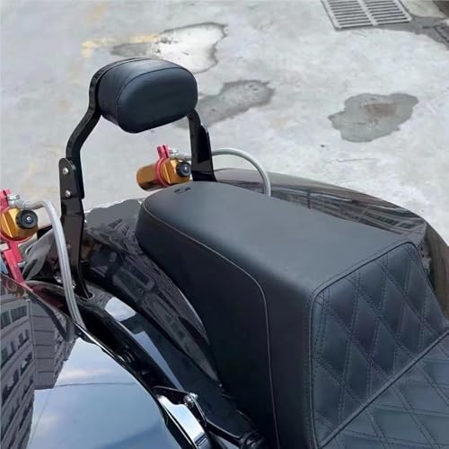 Appui-dos de passager moto haut de gamme pour Electra Glide ST - 3