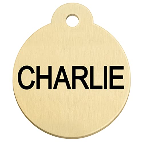 Gotags Personalized Pet Id Tags, Solid Brass Dog Tags And Cat Tags, Up To 6 Lines Of Custom Text, Engraved On Both Sides, Bone, Round, And Heart Shapes #TOP1