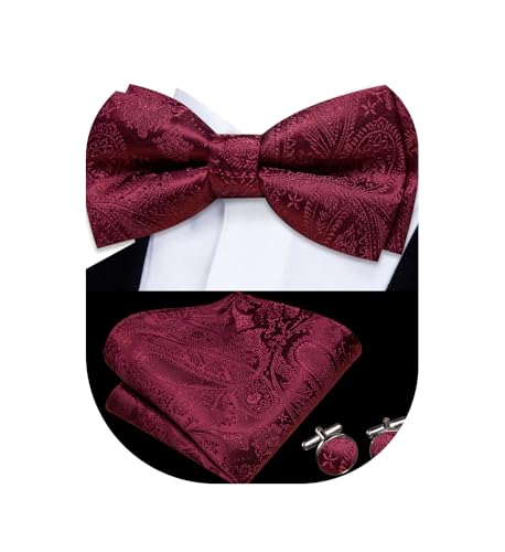 Image of Dubulle Mens Paisley Striped Bowtie Set Pre-tied Bowtie for Men and Pocket Square Set Wedding Business