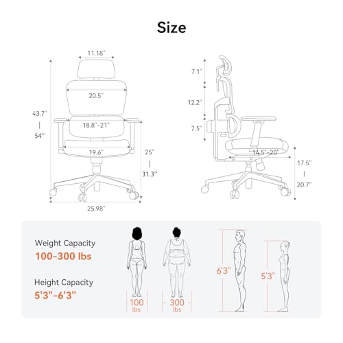 Image of Newtral Ergonomic Office Chair - Home Office Desk Chair, Big and Tall Office Chair, Auto-Following Lumbar Support for Back Pain, Adjustable Seat Depth and Height (No Foot Rest + No Laptop Tray, Black)