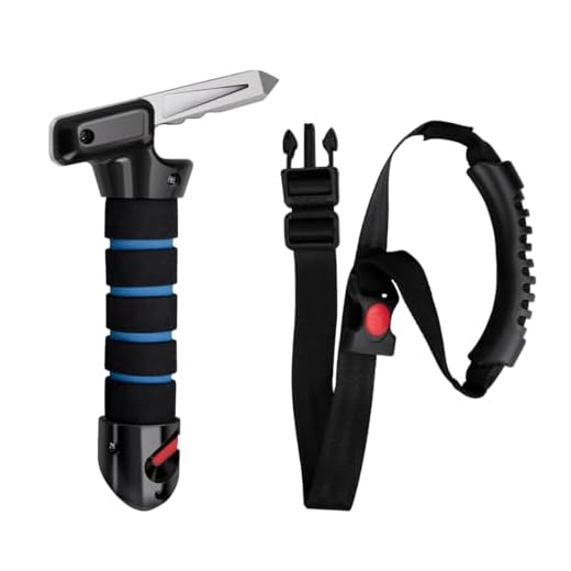 PCVANLEY 2 Pcs Car Assist Device Safety Handle Kit, Multifunction Detachable Grip Vehicle Lockable Grab Handle Bar Mobility Aid for Disabled,Elderly