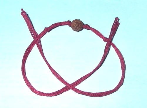 10 Rakhi 5 mukhi rudraksha bead wristband with red thread