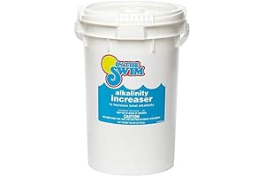 In The Swim Baking Soda for Pool Maintenance - Alkalinity Increaser and...