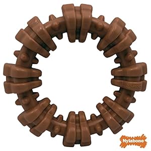 Nylabone Power Chew Textured Ring Dog Chew Toy for Aggressive Chewers with Bold Flavor and Made in The USA