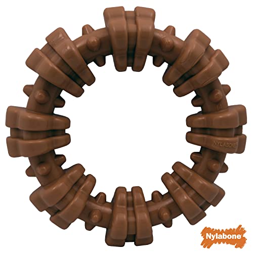 Nylabone-Power-Chew-Textured-Dog-Chew-Ring-Toy-Ring-Flavor-Medley-SmallRegular-1-Count