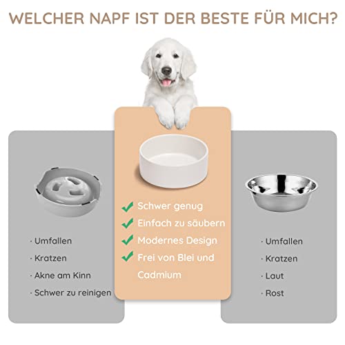 SPUNKYJUNKY Hundenapf Keramik Doppel Hund Futternapf mit Bambus Ständer für Katzen und Hunde (400ml, Weiß)