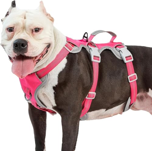 Hunde Sicherheitsgeschirr, Hundegeschirr kleine hunde, Reflektierendes Geschirr mit Gepolstertem Griff, Wasserdicht, Verstellbare Weste für Kleine Hunde Zum Gassi Gehen, Trainieren (Rosenrot,S)
