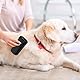 Pmueuff Hundebürste, Groomify Hundebürste Kurzhaar Bürste Hund Kurzhaar Groomify Pet Care Brush, Groom Professional Tool Katzenhaarbürste, Fellwunder Bürste Hund für Hunde Katzen und andere Haustiere