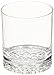 Wine Enthusiast Indoor/Outdoor Double Old Fashioned Glasses, Set of 4