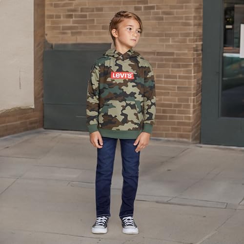 Image of Levi's Boys' Soft Knit Graphic Pullover Hoodie