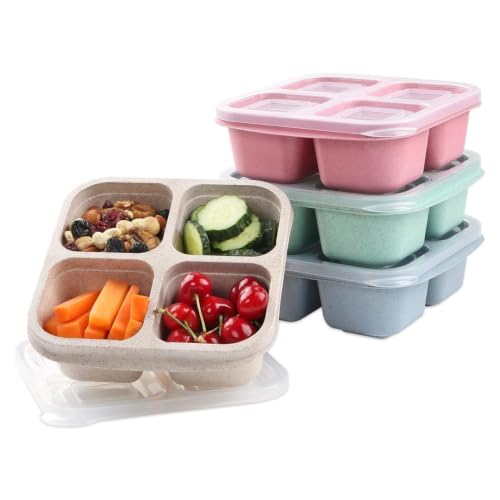 Image of 4 Compartment Snack Box Pack of 4 | Reusable Bento Lunch Box with Divided Sections | Meal Prep Food Storage Containers for Kids & Adults | School, Office, Travel & Picnic