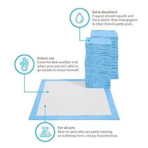 Paws & Pals Leak-Proof Potty Training Pee Pads for Dogs and Puppies, Large - 22x22 Disposable 30 Count Paws & Pals Leak-Proof Potty Training Pee Pads for Dogs and Puppies, Large – 22×22 Disposable 30 Count