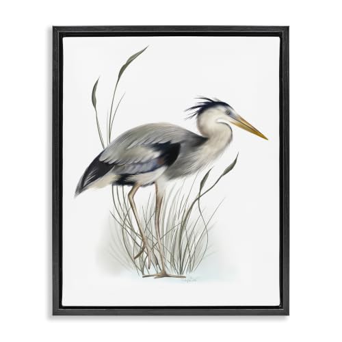 'Detailed Heron Bird Leering Wetland Grass'| Floating Frame Canvas Art