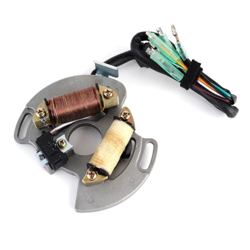 Bobine d'allumage pour YFS200 Blaster 2003-2007 stator magnétique OEM