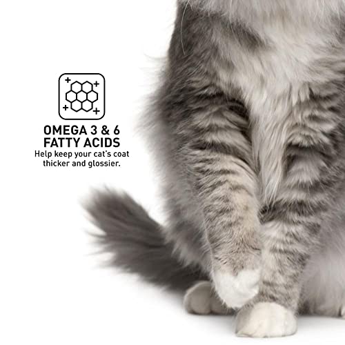Image of ProDiet Dry Cat Food Gourmet Seafood for Adult, (1+Years) 500g Pack