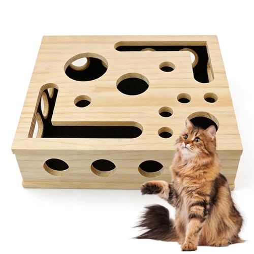 Dengthrive 2-in-1 Claw Craft Katzen Cat Nail File Box mit Schleifpapier