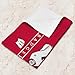 Northwest Wisconsin Badgers NCAA Rally - Rally Towel 18 x 15 Inches