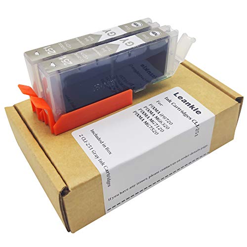 Leankle Compatible Ink Cartridge Replacement for Canon CLI-251 GY, PIXMA iP8720, MG6320, MG7120, MG7520 (Gray, 2-Pack)
