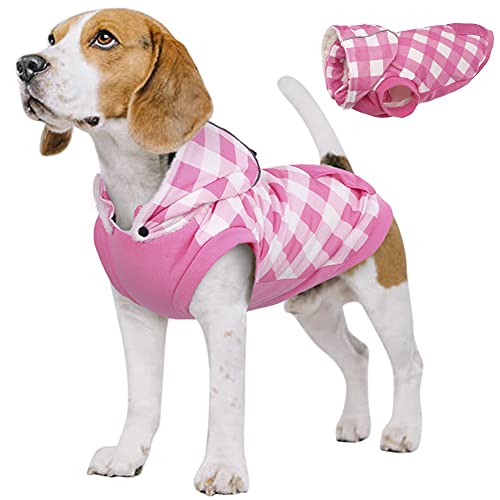 Plaid Dog Sweaters & Hoodies for Fall