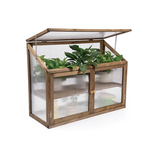 Greenhouse