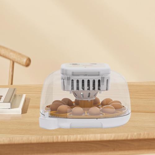Baoblaze Incubadora para Ovos de Galinha com Regulação de Temperatura e Umidade para Outras Aves