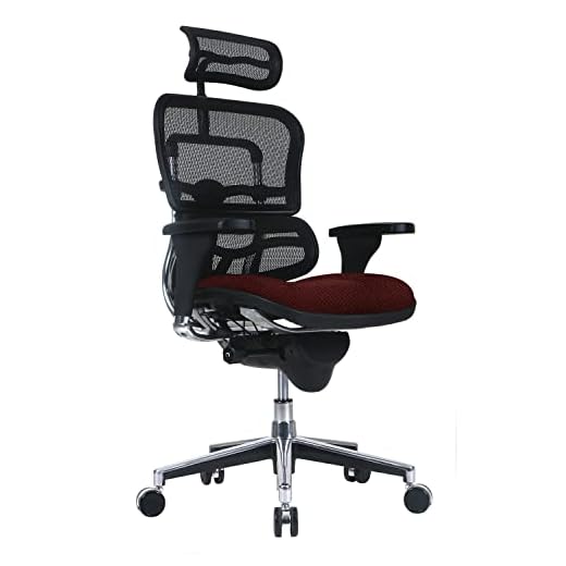 Tempur Pedic® Eurotech Ergo High Back-Mesh Executive Chair Burgundy