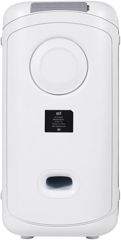 STF Allure Portable Speaker rear panel ports