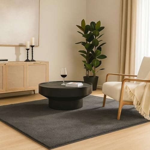 VOUNOT ® Tapis de Salon Moderne Ultra Doux Tapis à Poils Ras Lavable en Machine avec Un sous-Tapis antidérapant fourni pour Le Salon la Chambre ou la terrasse 80x150cm Anthracite