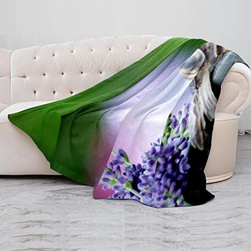 Couverture polaire microfibre haut de gamme Grey Sparrows douce