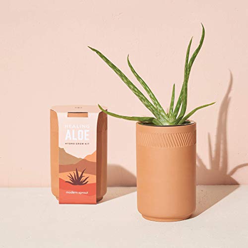 Modern Sprout Terracotta Grow Kit, Indoor Garden Kit, Healing Aloe + Desert Rose Bonsai + Prickly Pear Cactus, 3 Count #TOP3