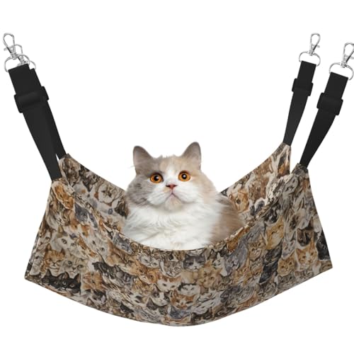 [§miyo] L nbN LbgnbN ݂艺xbh P[Wp o[Vu ʎgp q ʋC ېok ē~p ω׏d9kg M(37×48cm)/L(48×60cm) qL`L lRL (45)