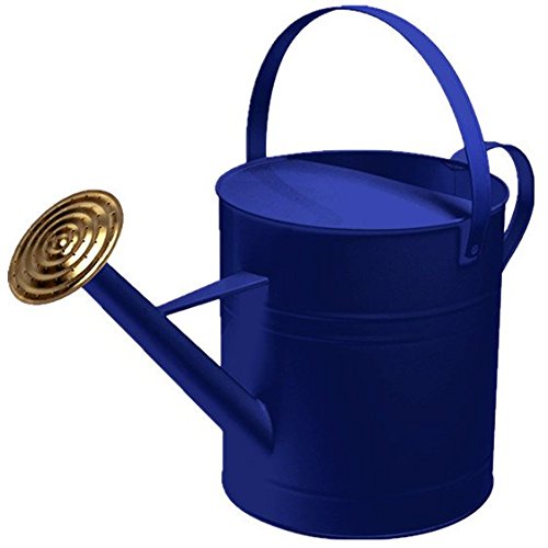 CrazyGadget Garden Plant Flower Colour Galvanised Metal Steel Watering Can 9L 9 Litre / 2 Gallon with Brass Rose (Dark Blue)
