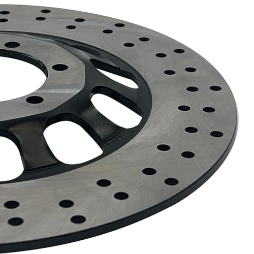 Rotor de disque de frein éliminant les vibrations sur XV1000R - 4